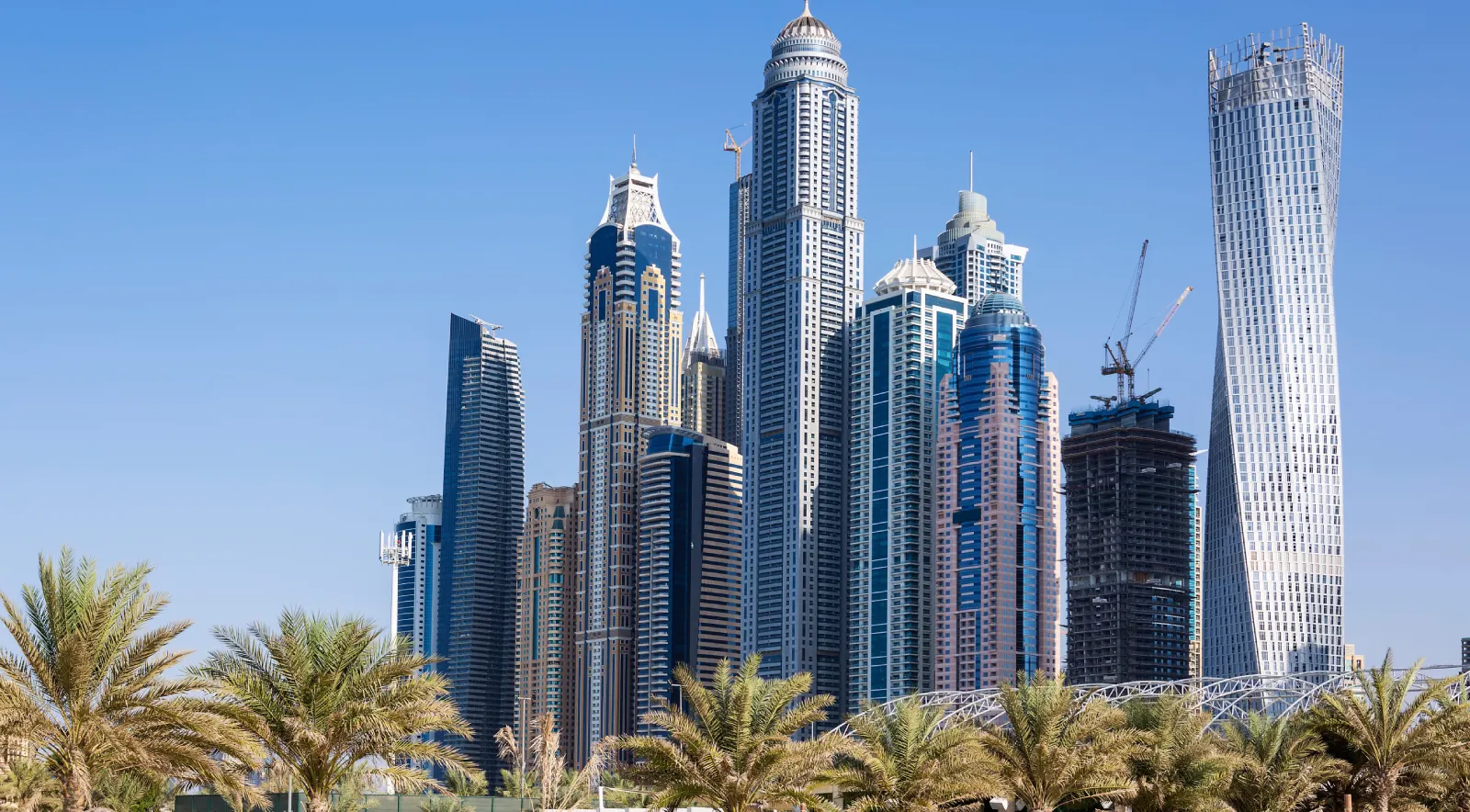 skyscrapers-palm-trees-dubai-uae (1)